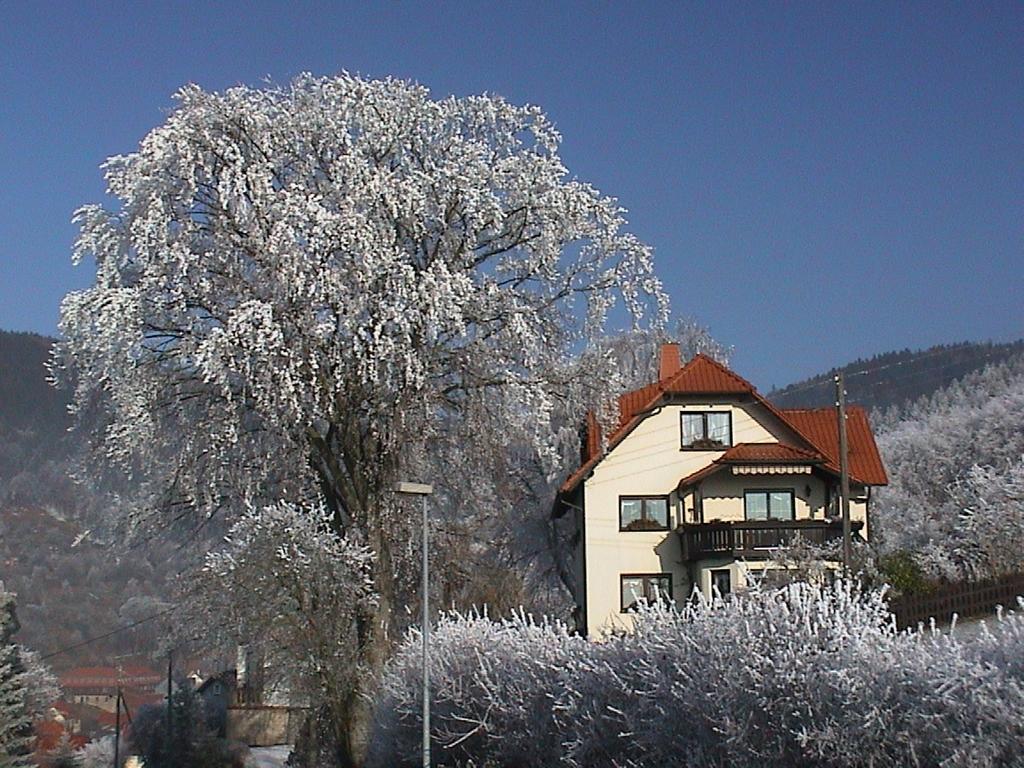 Ferienwohnung Panorama Rauenstein Exterior photo