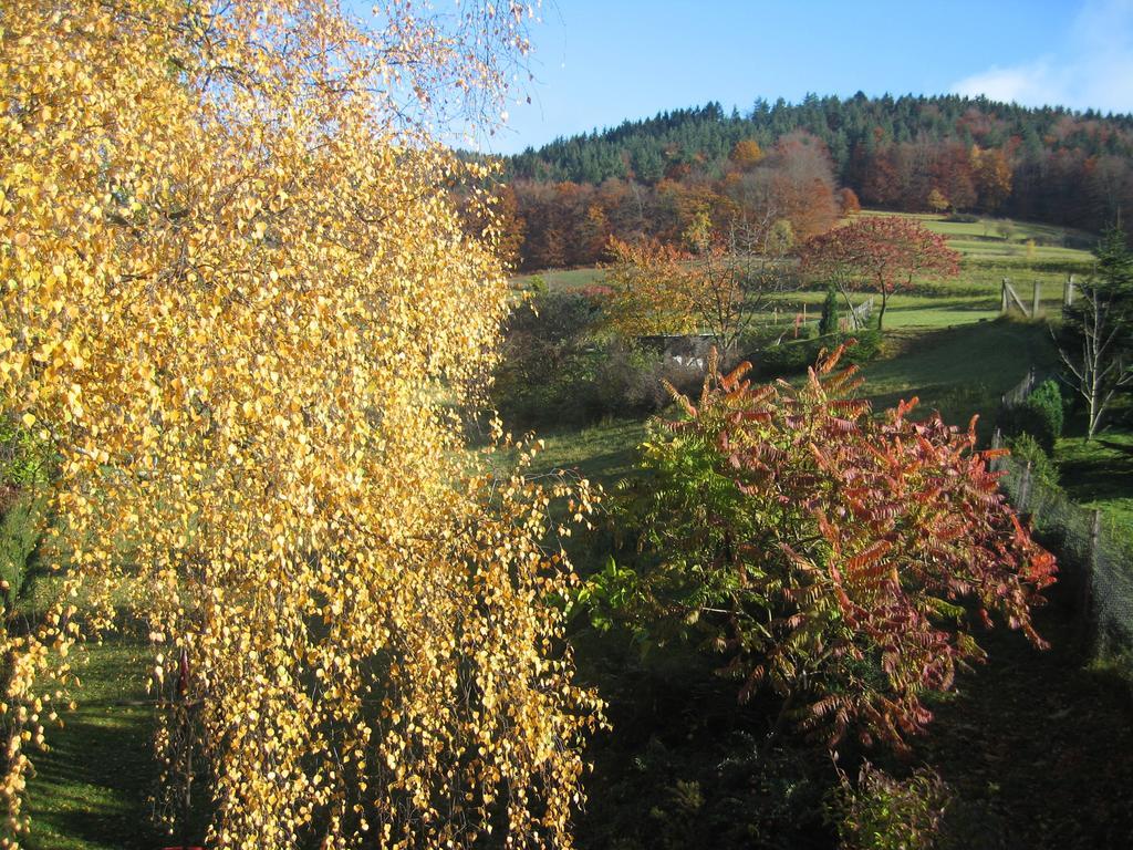 Ferienwohnung Panorama Rauenstein Exterior photo